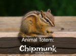 A Glimpse into the Dark Side: Chipmunk Witchcraft Revealed